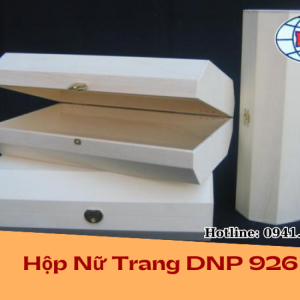 Hộp Nữ Trang DNP 926